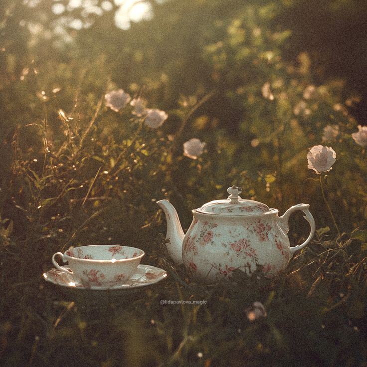 The Alchemy of Uplift: A Botanical Guide to the May Transition
